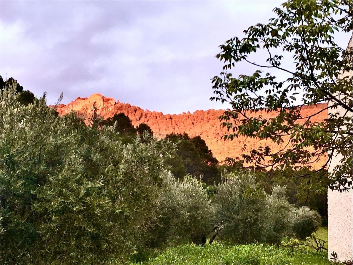 Casa Rural Cortijo La Ajedrea Siles Εξωτερικό φωτογραφία