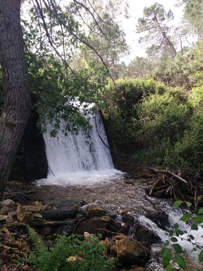 Casa Rural Cortijo La Ajedrea Siles Εξωτερικό φωτογραφία