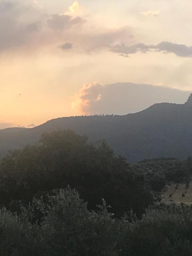 Casa Rural Cortijo La Ajedrea Siles Εξωτερικό φωτογραφία